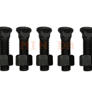 Plow Bolt & Nut